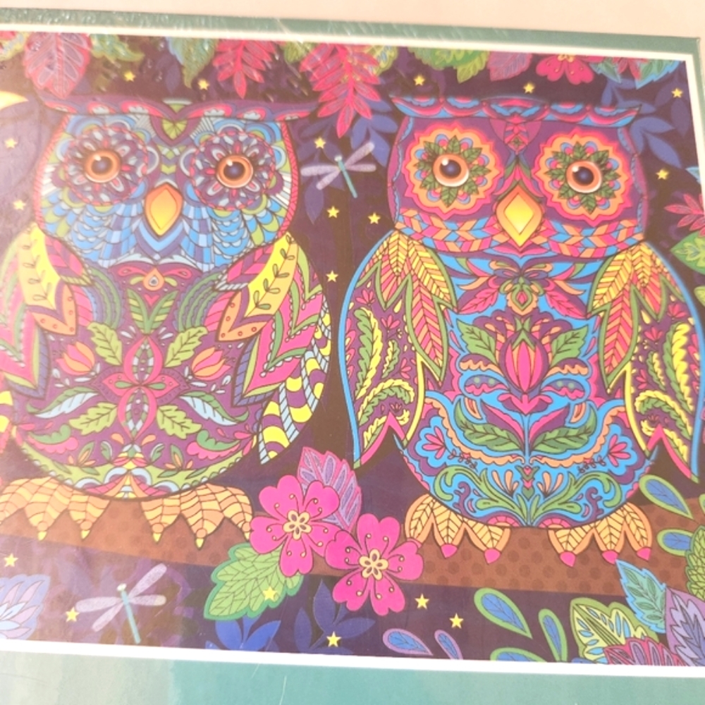 1000 Piece Puzzle - Wise Owls NWT - Picture 2 of 6